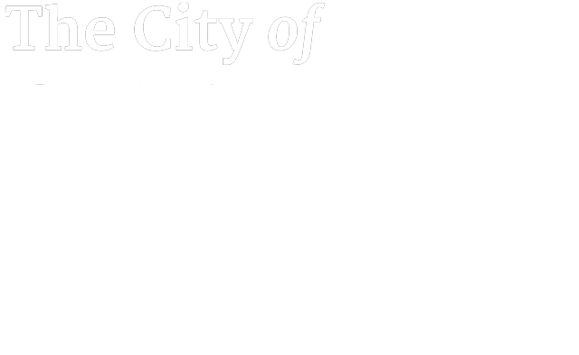 Logo San Diego City