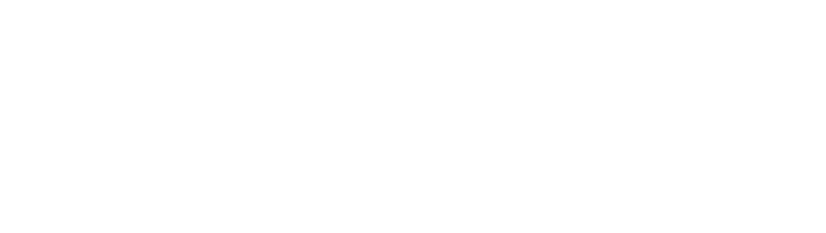 Nessus