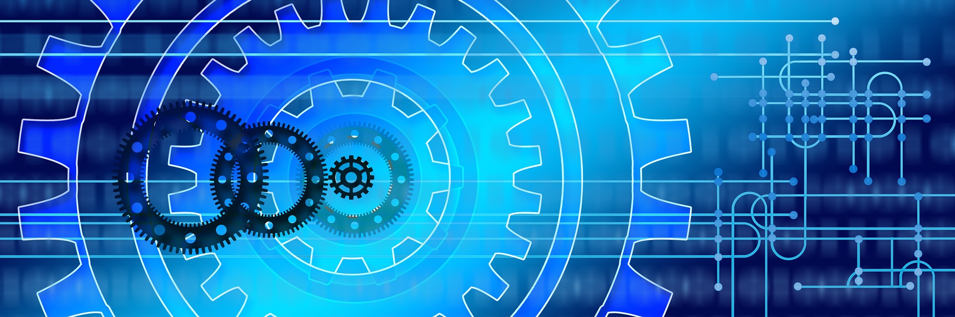 Security Teams: What You Need to Know About Vulnerability Response image
